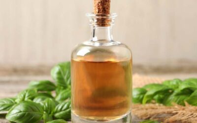 All About Holy Basil and Basil Oil