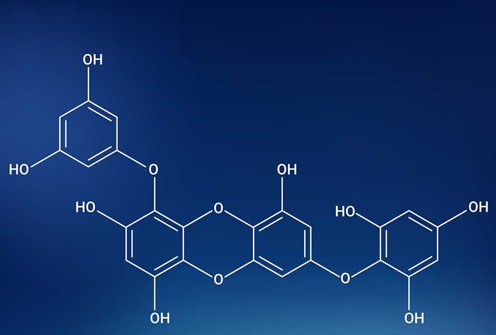 What is Biophenol99™?