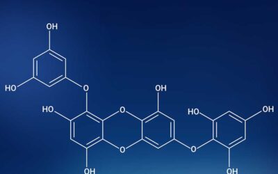 What is Biophenol99™?